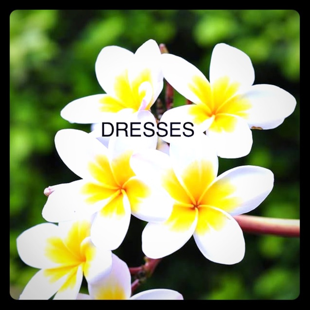 Dresses are BOGO!!